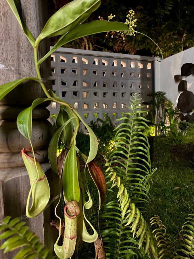 Ikiru 18 Private Saltwater Pool Villa, 3 Ensuite Br, Outdoor Bbq, 5 Mins To Beach Pantai Cenang  Exterior foto